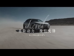 Песня L EV 602km с полным приводом превосходство 5 дверей 5 мест SUV