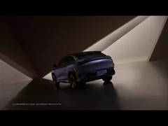 Sea Lion 07 EV 2024 550 с полным приводом Smart air версия 5 дверей 5 мест SUV