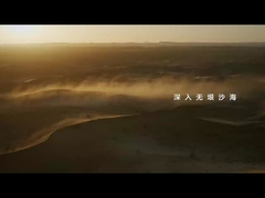 Леопард 5 в песке