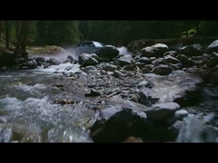 Леопард 5 в воде