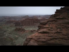 Леопард 5 на горе