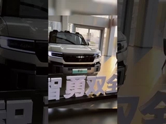 Уравнение Леопард 8