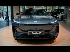 Морской лев