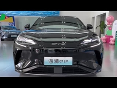 Морской лев